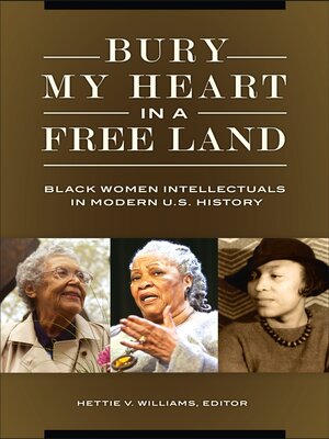 Bury My Heart in a Free Land - ebook
